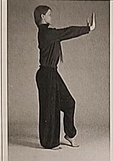 Photograph of a practitioner performing the standing Heh posture, weight on one leg with arms extended and fingers bent back.
