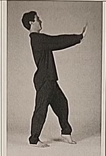 Photograph of a practitioner performing the standing Heh posture from the other orientation.