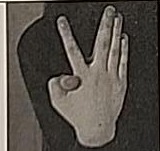 Close-up photograph of the Lamed hand position, palms pressed together with index fingers separated.