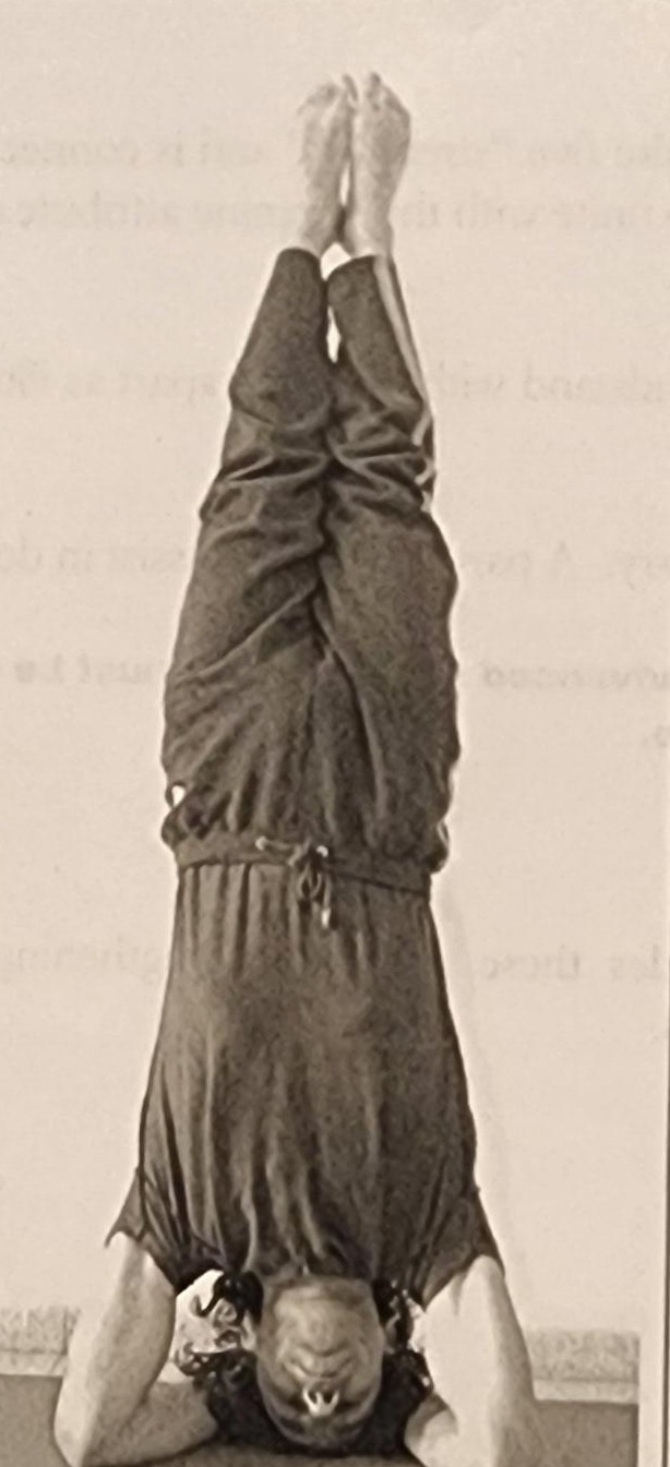 Photograph of a practitioner performing the Final Nun posture, an inverted forearm stand with legs straight up and feet pointing to the ceiling.