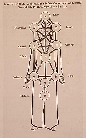 Diagram of the Ten Sefirot mapped onto the human body in the Vav letter-posture, labeled Keter, Chochmah, Binah, Chesed, Gevurah, Tiferet, Netzach, Hod, Yesod, and Malchut, with their corresponding Hebrew letters.