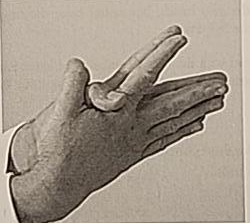 Close-up photograph of the Tzadi hand position, palms pressed together with index fingers separated.